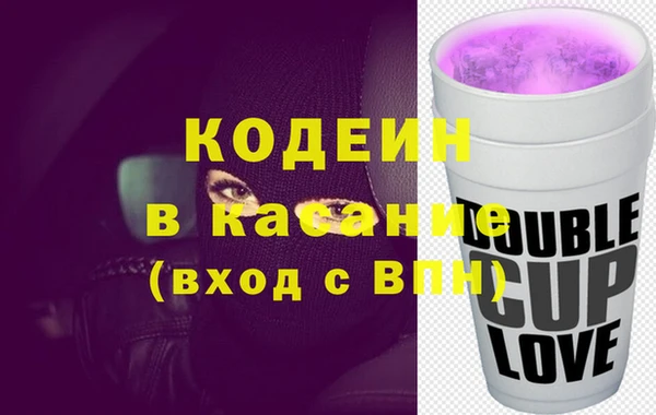 индика Нея