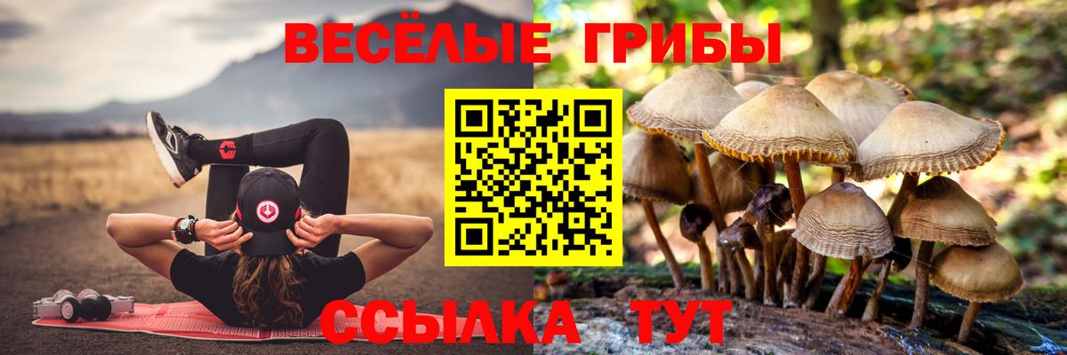 Галлюциногенные грибы Cubensis Чусовой